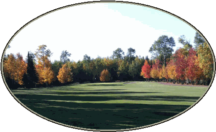 We are one of the Best Minnesota Golf Courses You Can Play!