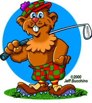 Minnesota Gopher golfer